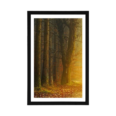 POSTER WITH MOUNT PATH IN THE FOREST - NATURE - POSTERS