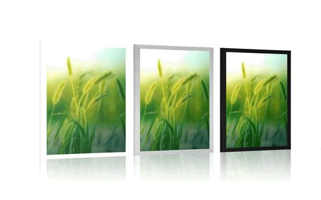 PLAGÁT STEBLÁ TRÁVY - PRÍRODA - PLAGÁTY