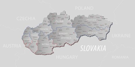 OBRAZ NA KORKU SIVÁ MAPA SLOVENSKA S DECENTNÝM KONTRASTOM - OBRAZY NA KORKU - OBRAZY