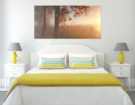 WANDBILD NEBLIGER HERBSTWALD - BILDER VON NATUR UND LANDSCHAFT - BILDER