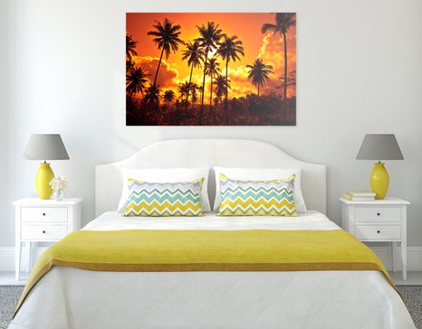 SLIKA KOKOSOVE PALME NA PLAŽI - SLIKE NARAVE IN POKRAJINE - SLIKE