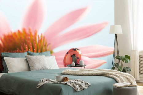 FOTOTAPETA BERUŠKA NA ECHINACEI - TAPETY KVĚTINY - TAPETY