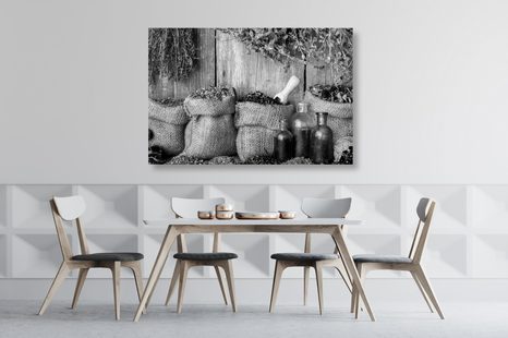 TABLOU PLANTE MEDICINALE ÎN DESIGN ALB-NEGRU - TABLOURI ALB-NEGRU - TABLOURI