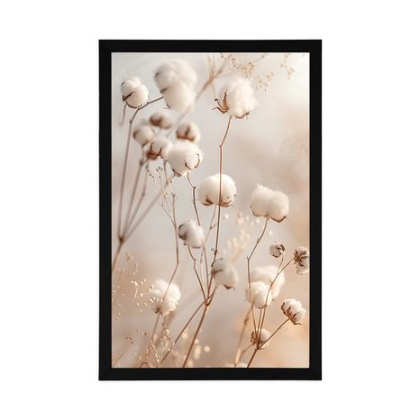 PLAKÁT NADÝCHANÁ BAVLNA - BOTANICKÉ - PLAKÁTY