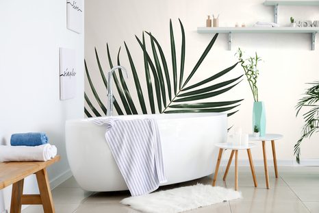 FOTOTAPETA NÁDHERNÝ PALMOVÝ LIST - TAPETY PŘÍRODA - TAPETY
