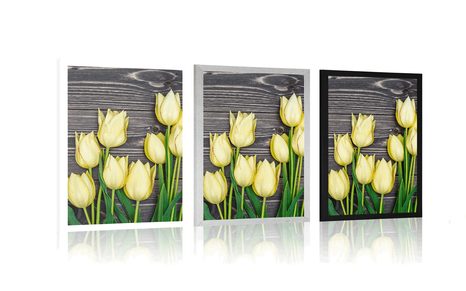 PLAKAT ŽUTI TULIPANI NA DRVENOJ PODLOZI - CVIJEĆE - PLAKATI