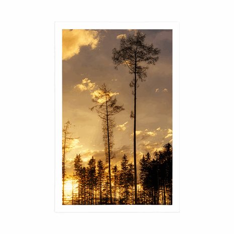 POSTER – SERA NEL BOSCO - NATURA - POSTER