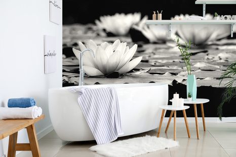 FOTOTAPETA ČERNOBÍLÝ LOTOSOVÝ KVĚT - ČERNOBÍLÉ TAPETY - TAPETY
