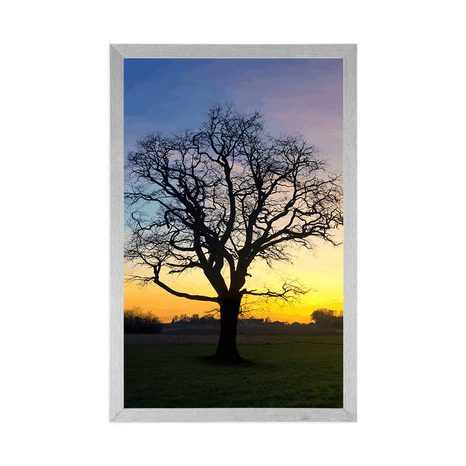 PLAGÁT OČARUJÚCI STROM - PRÍRODA - PLAGÁTY