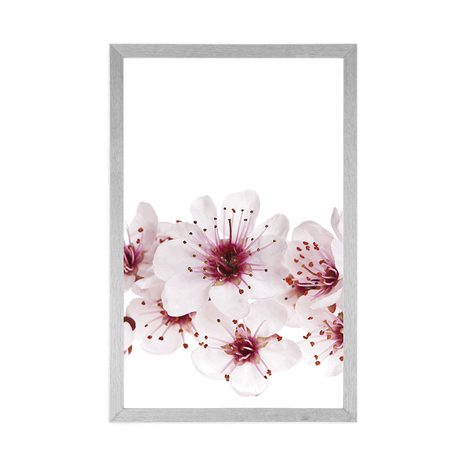 POSZTER CSERESZNYE VIRÁG - VIRÁGMINTÁS - POSZTEREK