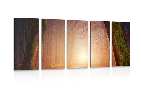 5 PART PICTURE FOREST IN FAIRY COLORS