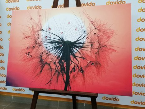 OBRAZ PÚPAVA PRI ZÁPADE SLNKA - OBRAZY KVETOV - OBRAZY