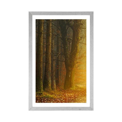 POSTER WITH MOUNT PATH IN THE FOREST - NATURE - POSTERS