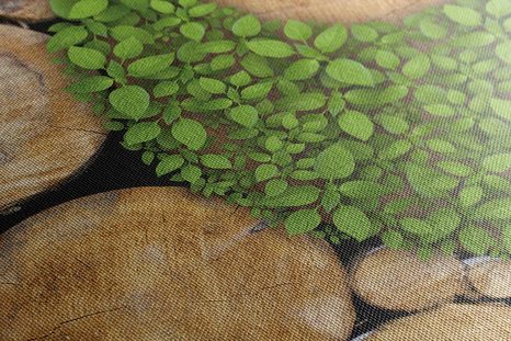 SLIKA JIN IN JANG V EKO IZVEDBI - SLIKE FENG SHUI - SLIKE