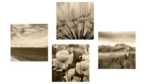 BILDERSET LANDSCHAFT MIT BLUMEN IN SEPIA - BILDERSETS - BILDER