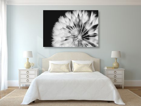 OBRAZ PAMPELIŠKA V ČERNOBÍLÉM PROVEDENÍ - ČERNOBÍLÉ OBRAZY - OBRAZY