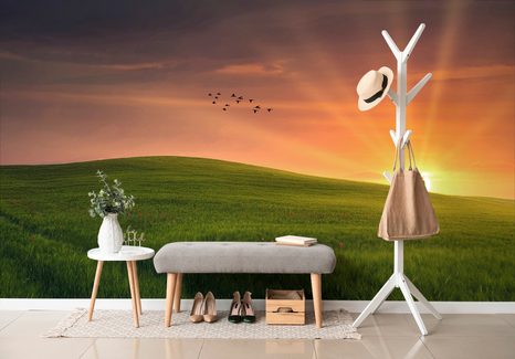 TAPETA STROM NA LÚKE - TAPETY PRÍRODA - TAPETY