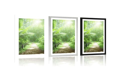 POSTER MIT PASSEPARTOUT WEG AUF DEN SEYCHELLEN - NATUR - POSTER