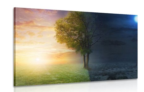 CANVAS PRINT DAY AND NIGHT - PICTURES OF NATURE AND LANDSCAPE - PICTURES