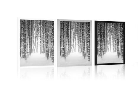 PLAKAT GOZD PREKRIT S SNEGOM V ČRNOBELI VARIANTI - ČRNOBELI - PLAKATI