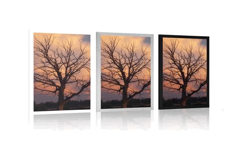 PLAKÁT NÁDHERNÝ STROM NA LOUCE - PŘÍRODA - PLAKÁTY