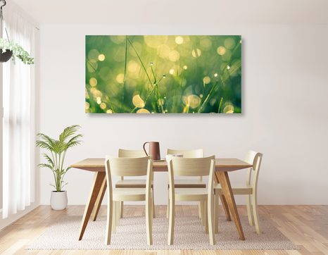 OBRAZ RANNÁ ROSA - OBRAZY PRÍRODY A KRAJINY - OBRAZY