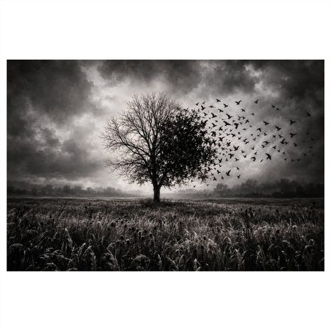 WANDBILD LEBENSBAUM IM STURM - HALLOWEEN- UND HORROR-BILDER - BILDER