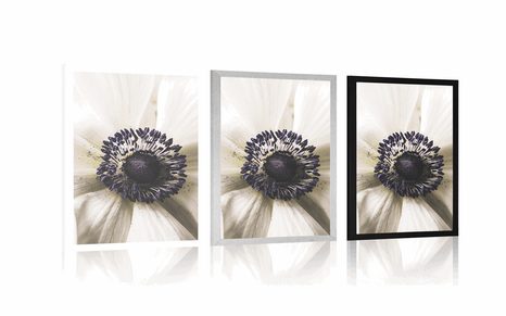 POSTER – FIORE IN FIORE - FIORI - POSTER