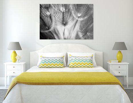 КАРТИНА НА ПЛАТНО – ГЛУХАРЧЕ В ЧЕРНО И БЯЛО - ЧЕРНО-БЕЛИ КАРТИНИ - КАРТИНИ