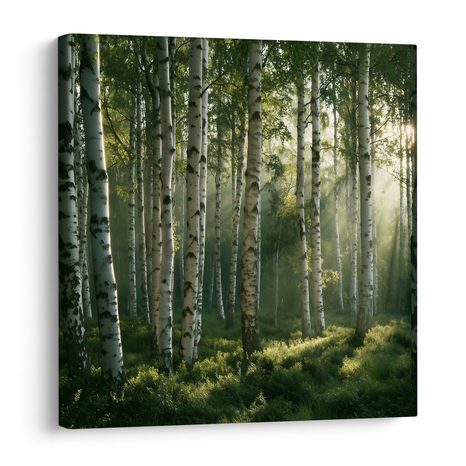 CANVASTAVLA STILLA BJÖRKDUNGE I DIMMA - TAVLOR MED SKOG - TAVLOR