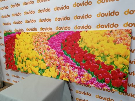 TABLOU LALELE MULTICOLORE - TABLOU FLORI - TABLOURI