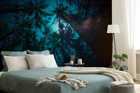 WALLPAPER NIGHT IN THE FOREST - WALLPAPERS FOREST - WALLPAPERS