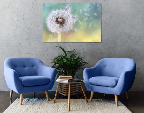 TABLOU PĂPĂDIE MAGICĂ - TABLOU FLORI - TABLOURI