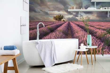 TAPETA ZEMĚ LEVANDULOVÝCH POLÍ - TAPETY PŘÍRODA - TAPETY