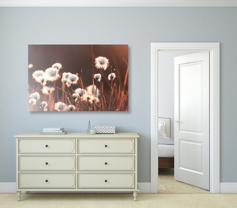 CANVAS SCHILDERIJ KATOENGRAS - SCHILDERIJEN - MEGA UITVERKOOP TOT 70% 🔥