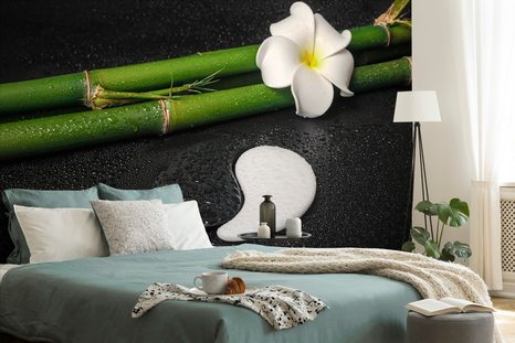 CARTA DA PARATI – NATURA MORTA CON SIMBOLO YIN E YANG - CARTA DA PARATI FENG SHUI - CARTA DA PARATI