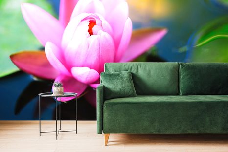 FOTOTAPETA NÁDHERNÝ RŮŽOVÝ KVĚT NA JEZEŘE - TAPETY KVĚTINY - TAPETY