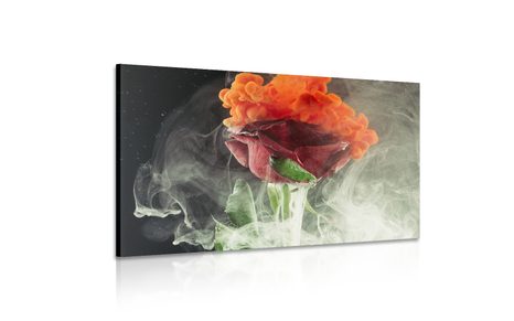 OBRAZ RŮŽE S ABSTRAKTNÍMI PRVKY - OBRAZY KVĚTŮ - OBRAZY