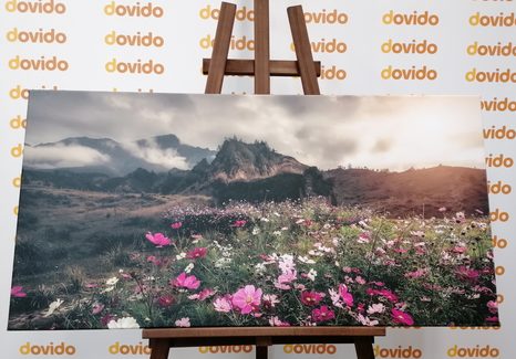 KÉP VIRÁGZÓ RÉT - TERMÉSZET- ÉS TÁJKÉPEK - KÉPEK