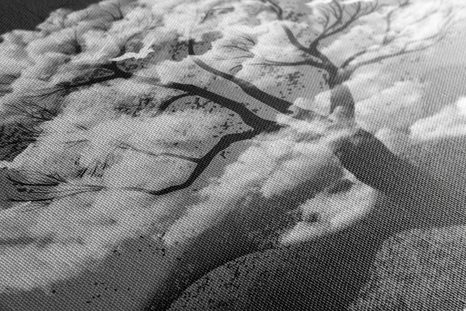 SLIKA ČRNOBELO DREVO OBKROŽENO Z OBLAKI - ČRNOBELE SLIKE - SLIKE