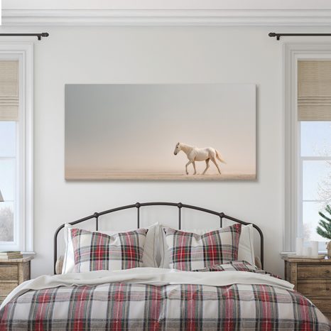 OBRAZ KLIDNÝ KŮŇ NA PÍSKU - OBRAZY KONĚ - OBRAZY