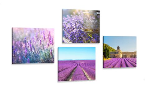 SET OF PICTURES FOR LAVENDER LOVERS
