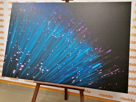 SLIKA OPTIČNA VLAKNA - SLIKE TIHOŽITJE - SLIKE