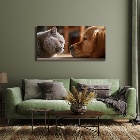 OBRAZ KLIDNÉ SETKÁNÍ KOČKY A PSA - OBRAZY ZVÍŘAT - OBRAZY