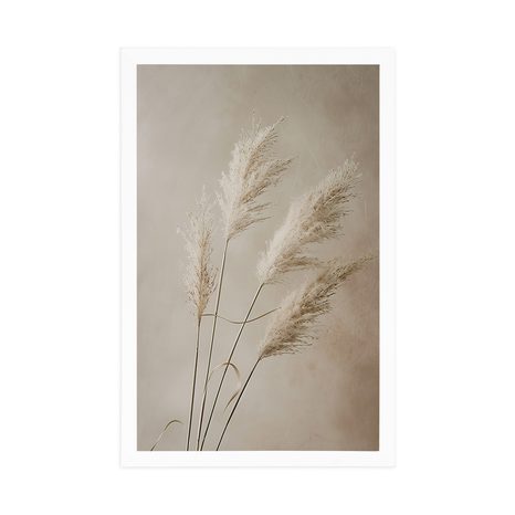 POSTER IARBA USCATĂ DE PAMPAS - BOTANICE - POSTERE