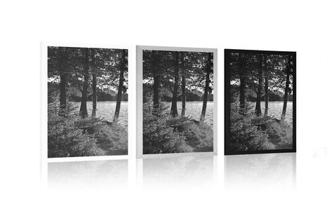 POSTER VIEW OF THE LAKE IN BLACK AND WHITE - BLACK AND WHITE - POSTERS