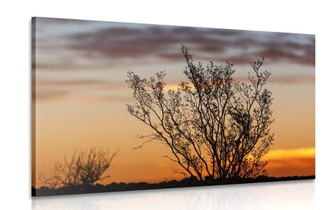 TABLEAU SUR TOILE – BRINDILLES AU COUCHER DU SOLEIL - TABLEAUX DE LA NATURE ET DES PAYSAGES - TABLEAUX