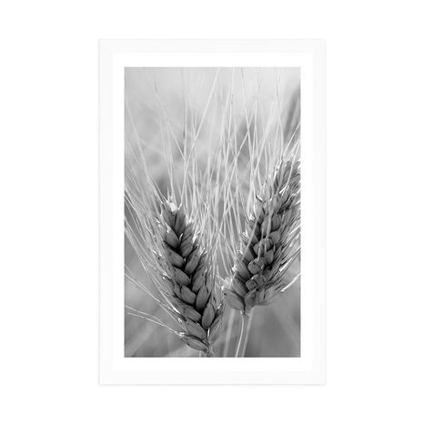 POSTER – CAMPO DI GRANO IN BIANCO E NERO - NERO E BIANCO - POSTER