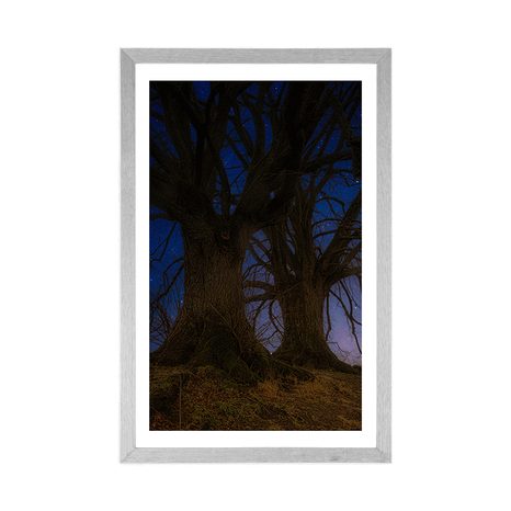 SPLAKAT S PASPARTUOM TABLA U NOĆNOM KRAJOLIKU - PRIRODA - PLAKATI