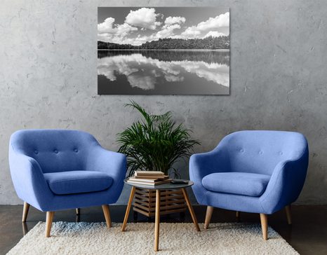 КАРТИНА НА ПЛАТНО – ПРИРОДА ПРЕЗ ЛЯТОТО В ЧЕРНО-БЯЛО ИЗПЪЛНЕНИЕ - ЧЕРНО-БЕЛИ КАРТИНИ - КАРТИНИ